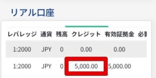 5000円　入金