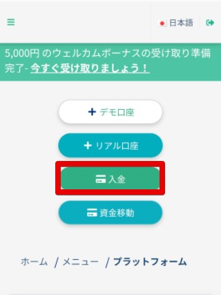 入金